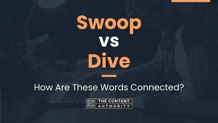 Swoop Vs Dive How Are These Words Connected swoop-vs-dive-how-are-these-words-connected