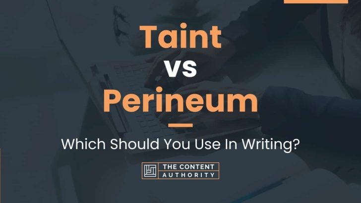 Taint vs Perineum: Which Should You Use In Writing?