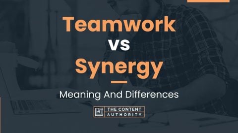 Teamwork vs Synergy: Meaning And Differences