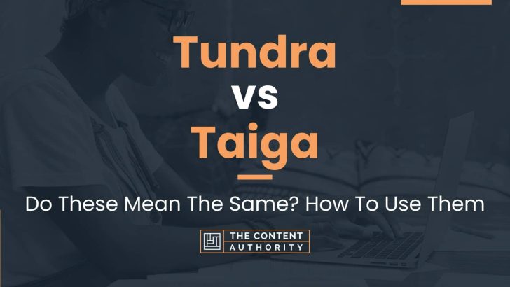 Tundra vs Taiga: Do These Mean The Same? How To Use Them