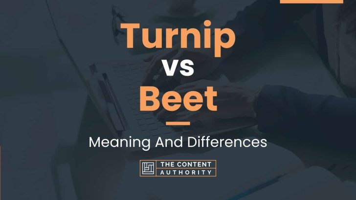 turnip-vs-beet-meaning-and-differences