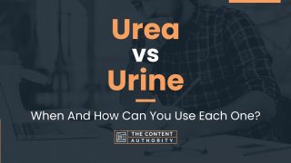 Urea vs Urine: When And How Can You Use Each One?