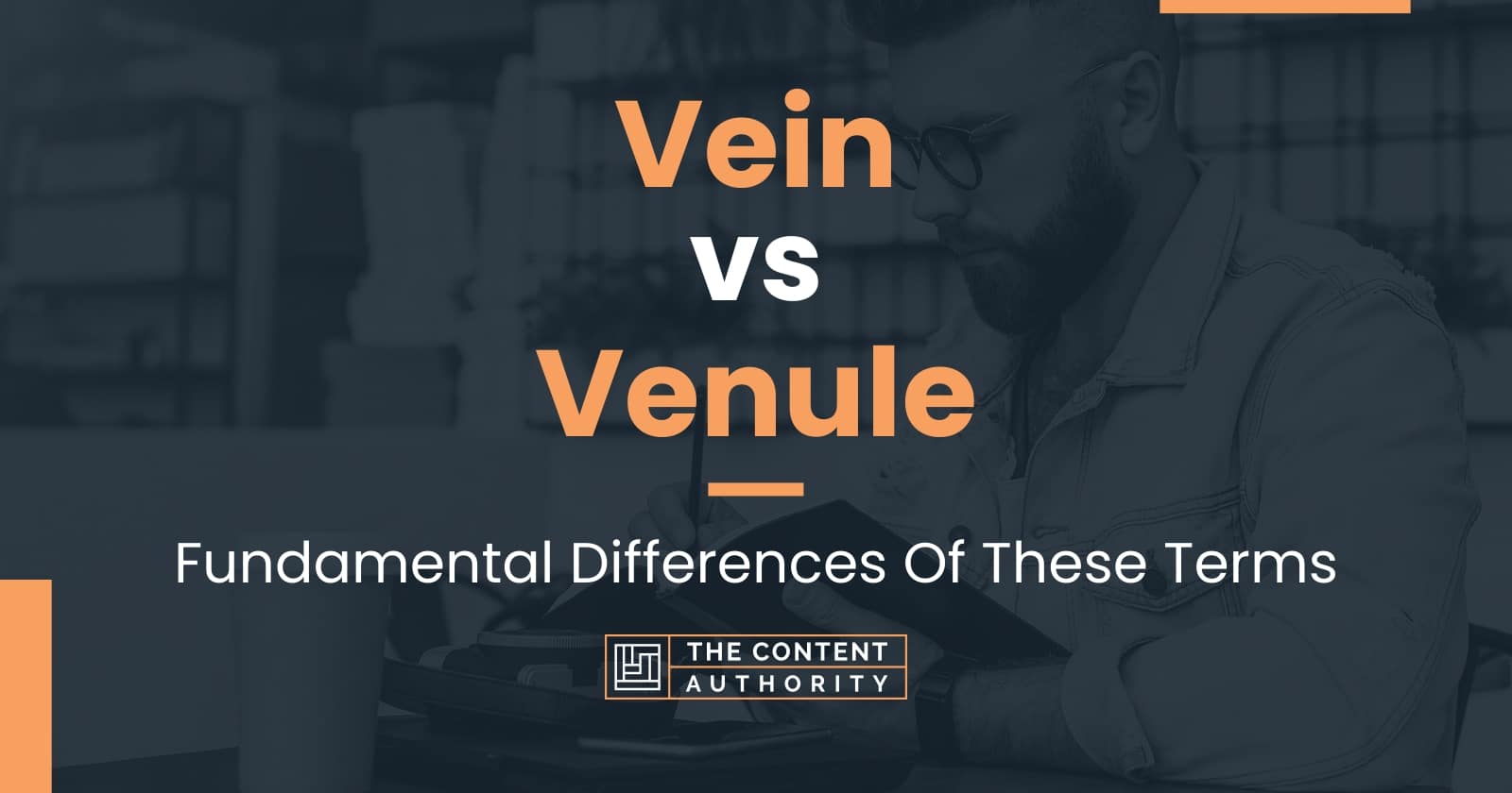 Vein vs Venule: Fundamental Differences Of These Terms