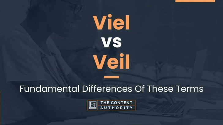 Viel vs Veil: Fundamental Differences Of These Terms