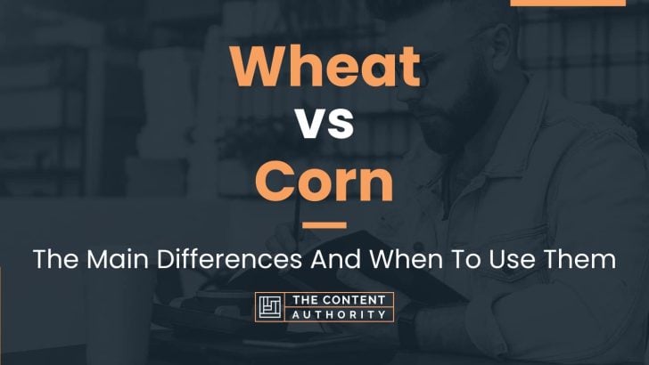 Wheat vs Corn: The Main Differences And When To Use Them