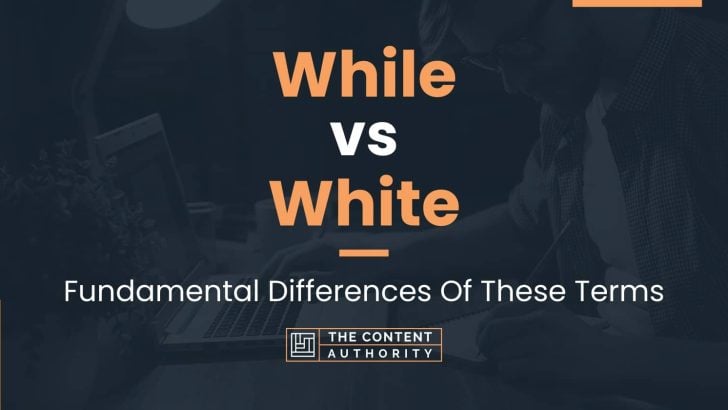 while-vs-white-fundamental-differences-of-these-terms