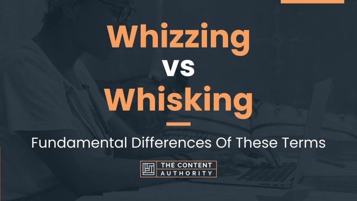 Whizzing vs Whisking: Fundamental Differences Of These Terms