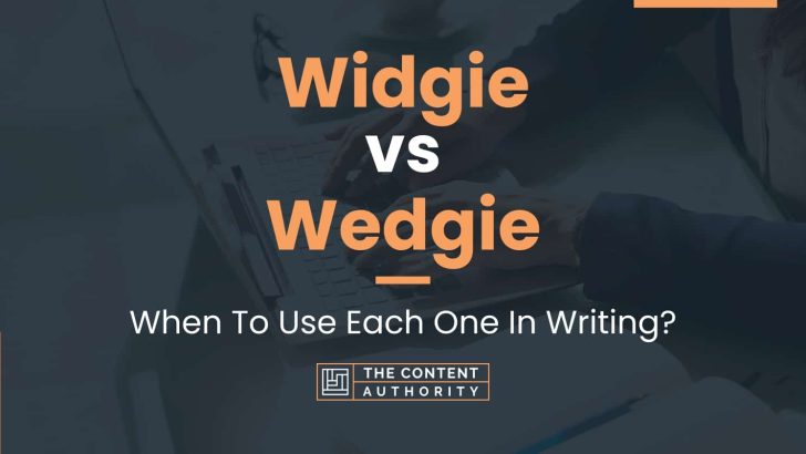 Widgie vs Wedgie: When To Use Each One In Writing?