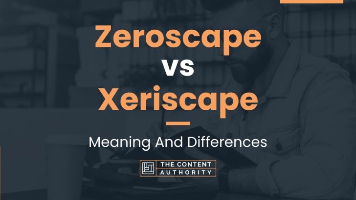 Zeroscape vs Xeriscape: Meaning And Differences