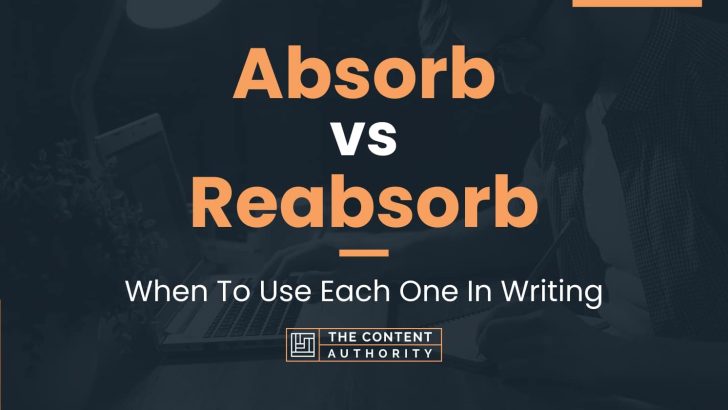 Absorb vs Reabsorb: When To Use Each One In Writing