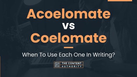 Acoelomate vs Coelomate: When To Use Each One In Writing?