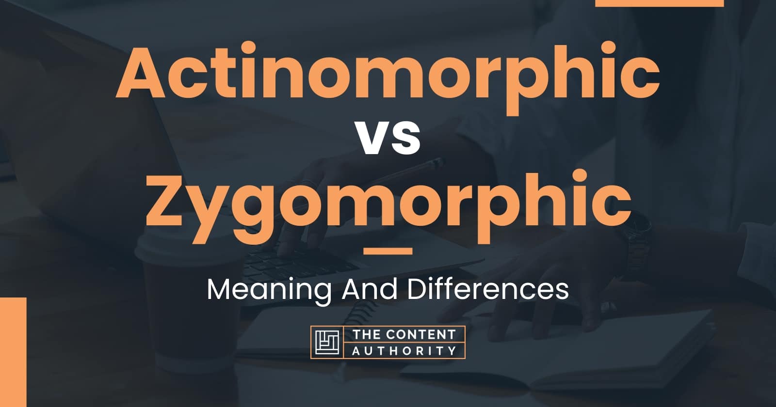 Actinomorphic vs Zygomorphic: Meaning And Differences