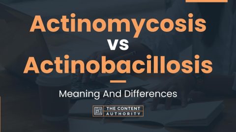 Actinomycosis vs Actinobacillosis: Meaning And Differences