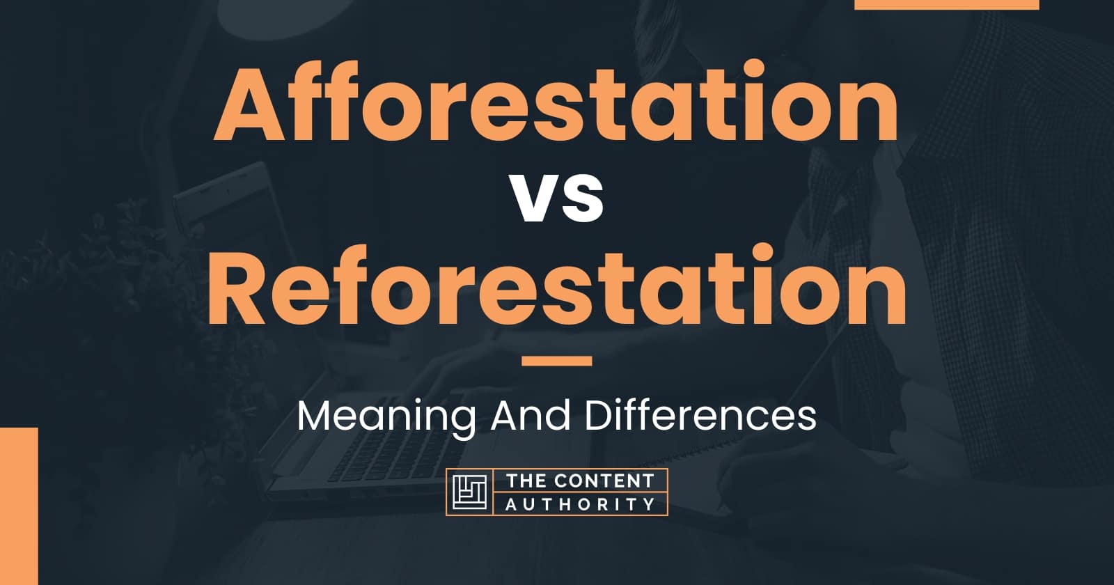 Afforestation Vs Reforestation: Meaning And Differences