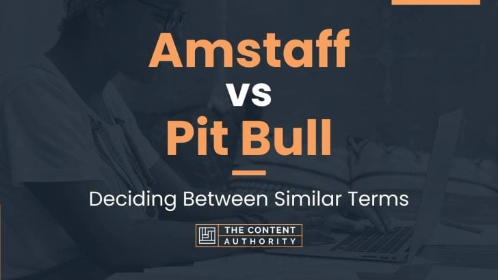 Amstaff vs Pit Bull: Deciding Between Similar Terms