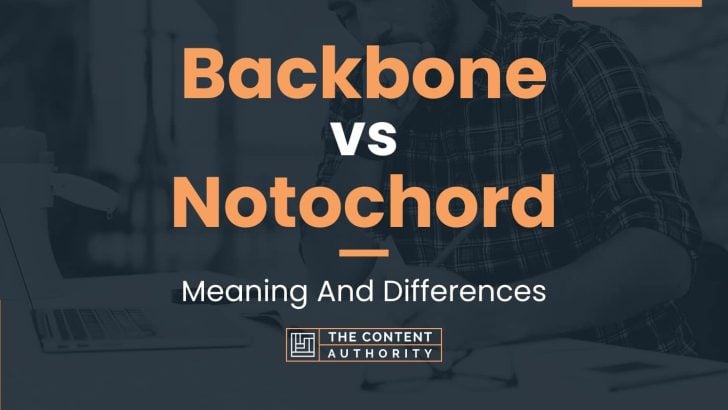 Backbone vs Notochord: Meaning And Differences
