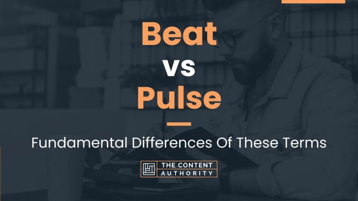 Beat vs Pulse: Fundamental Differences Of These Terms