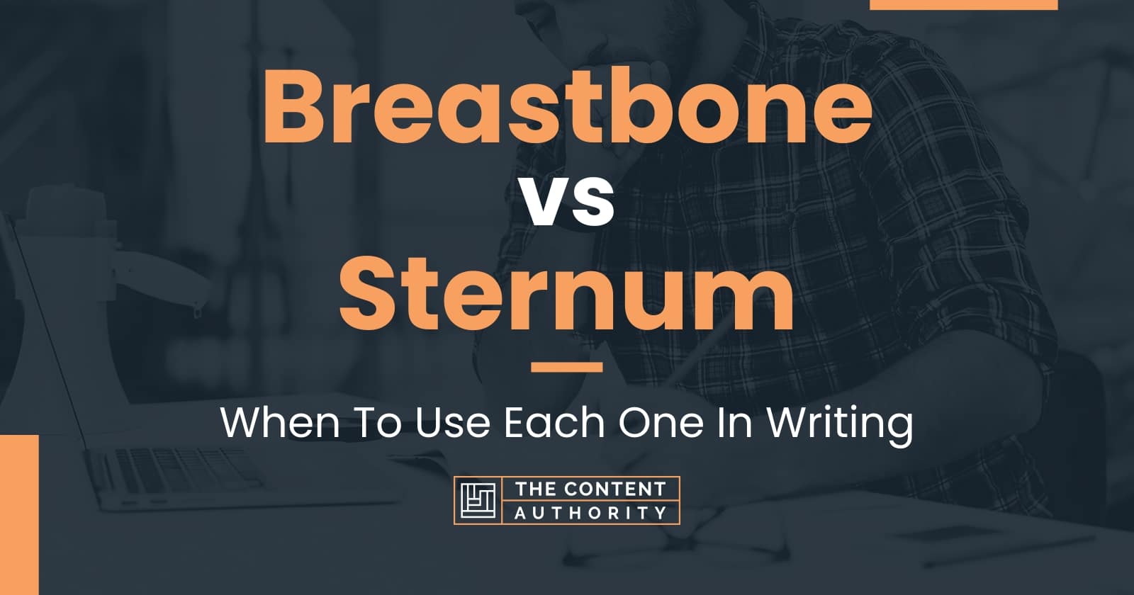 Breastbone vs Sternum: When To Use Each One In Writing