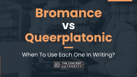 Bromance Vs Queerplatonic: When To Use Each One In Writing?