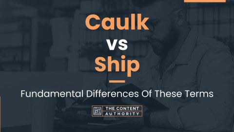 Caulk vs Ship: Fundamental Differences Of These Terms