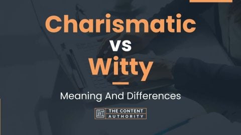 Charismatic vs Witty: Meaning And Differences