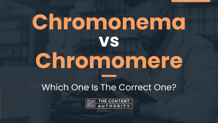 Chromonema vs Chromomere: Which One Is The Correct One?