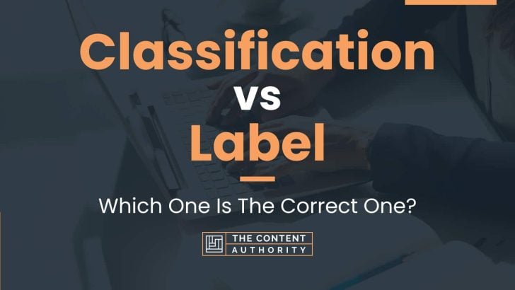 Classification vs Label: Which One Is The Correct One?