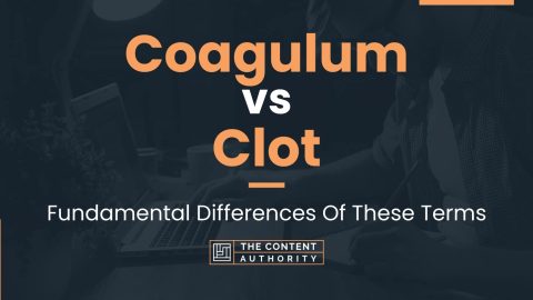 Coagulum vs Clot: Fundamental Differences Of These Terms