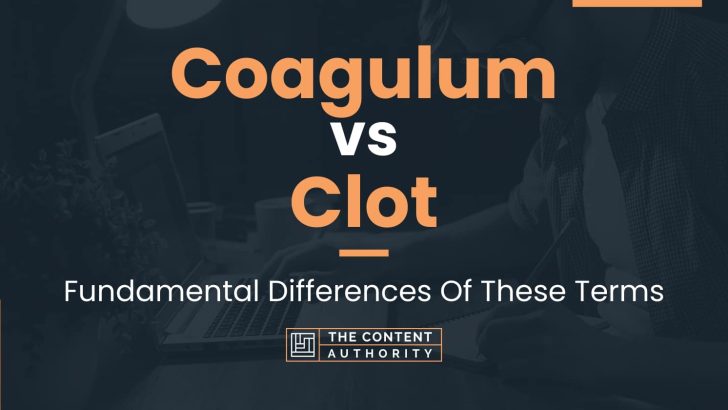 Coagulum vs Clot: Fundamental Differences Of These Terms