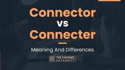 Connector vs Connecter: Meaning And Differences