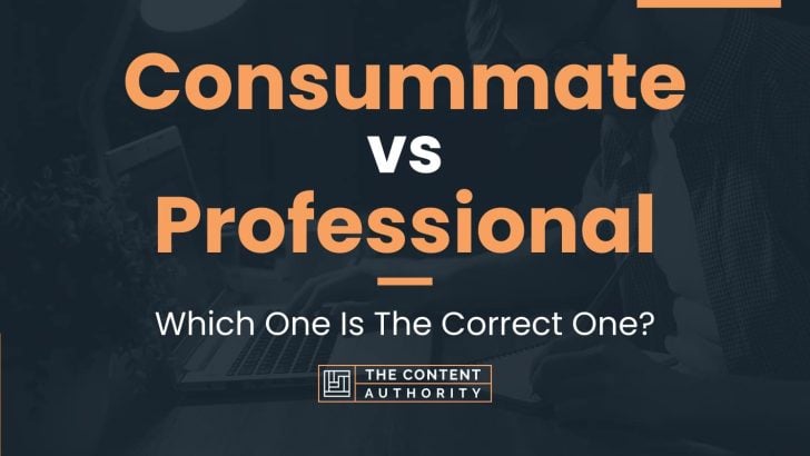 Consummate vs Professional: Which One Is The Correct One?
