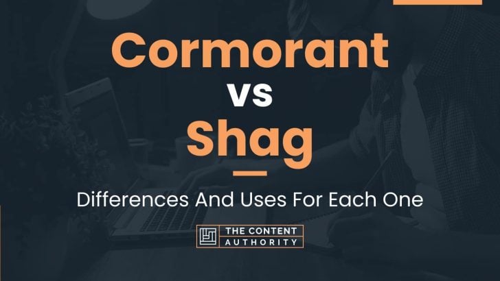 Cormorant vs Shag: Differences And Uses For Each One