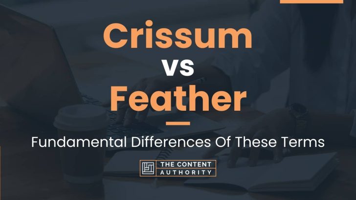 Crissum vs Feather: Fundamental Differences Of These Terms