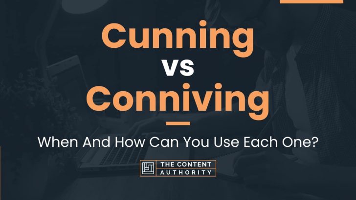 Cunning vs Conniving: When And How Can You Use Each One?
