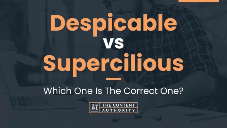 Despicable vs Supercilious: Which One Is The Correct One?