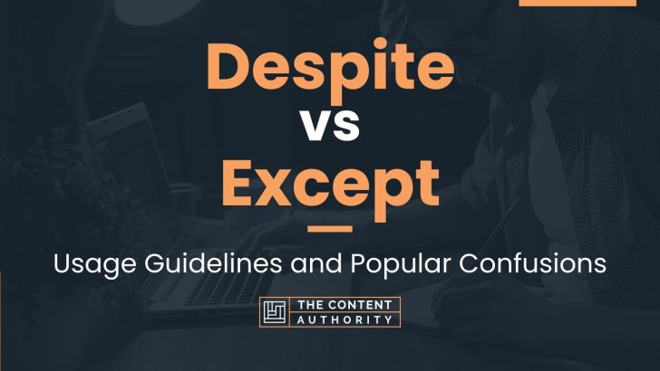 Despite vs Except: Usage Guidelines and Popular Confusions