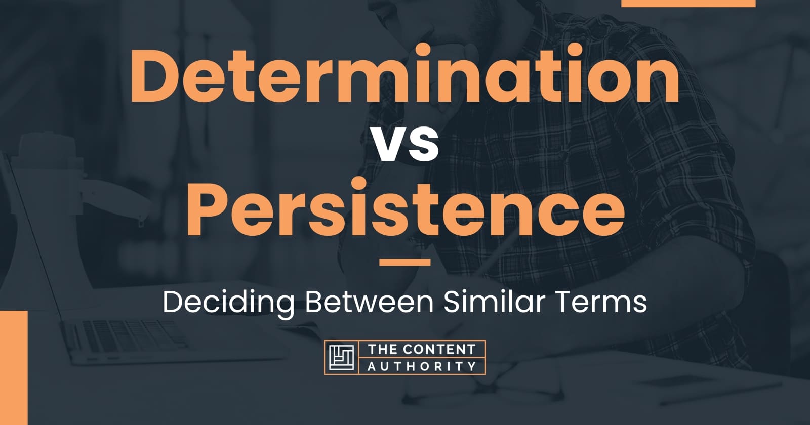 Determination vs Persistence: Deciding Between Similar Terms