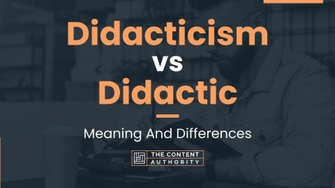 Didacticism vs Didactic: Meaning And Differences