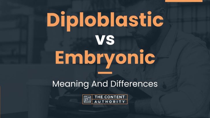 diploblastic-vs-embryonic-meaning-and-differences