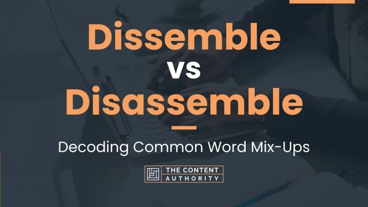 Dissemble vs Disassemble: Decoding Common Word Mix-Ups