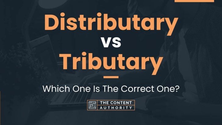 Distributary vs Tributary: Which One Is The Correct One?
