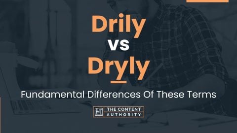 Drily vs Dryly: Fundamental Differences Of These Terms