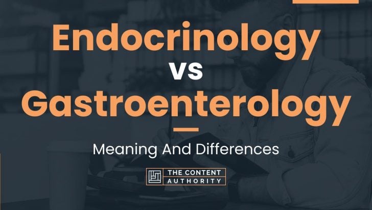 Endocrinology vs Gastroenterology: Meaning And Differences