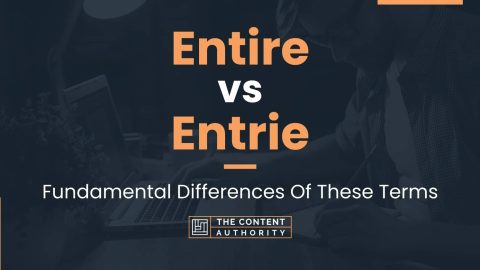 Entire Vs Entrie: Fundamental Differences Of These Terms