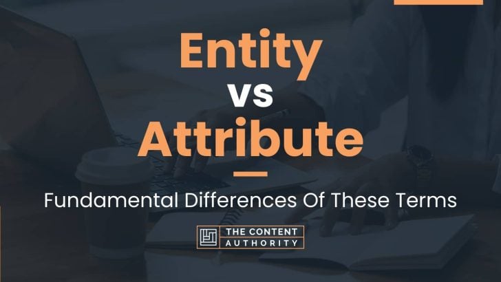 Entity vs Attribute: Fundamental Differences Of These Terms