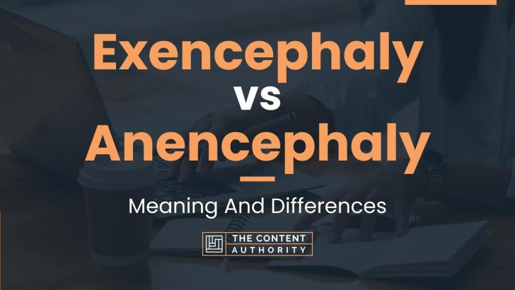 Exencephaly vs Anencephaly: Meaning And Differences