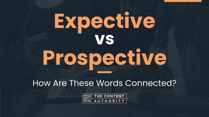 Expective vs Prospective: How Are These Words Connected?