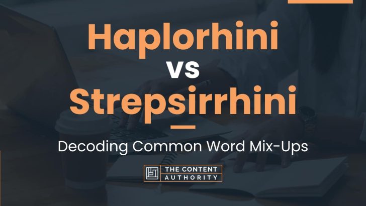 Haplorhini vs Strepsirrhini: Decoding Common Word Mix-Ups
