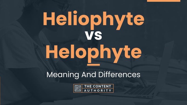 Heliophyte vs Helophyte: Meaning And Differences