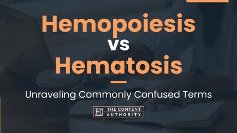 Hemopoiesis vs Hematosis: Unraveling Commonly Confused Terms